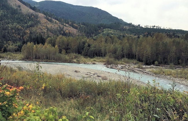 05MBH - Economical - WiFi - Pets Ok - F/P - D/W - Sleeps 2 - Foto 16