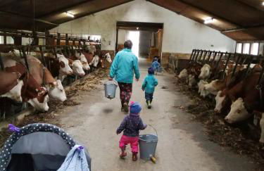 Ferienhof Schmalzgrub - Foto 11