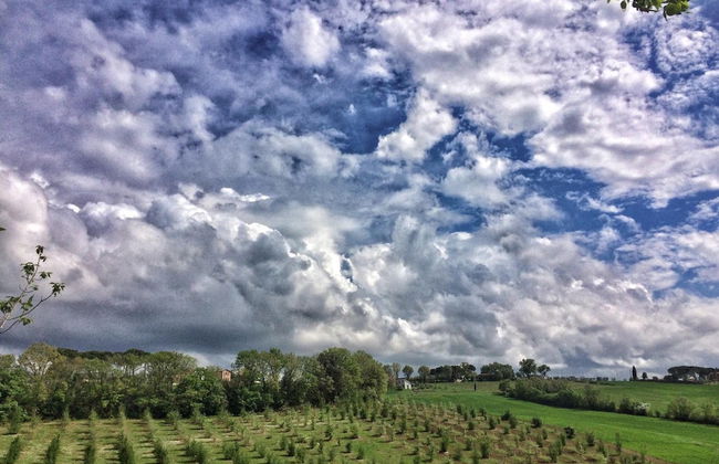 Agriturismo Fattoria Santa Vittoria - Foto 36