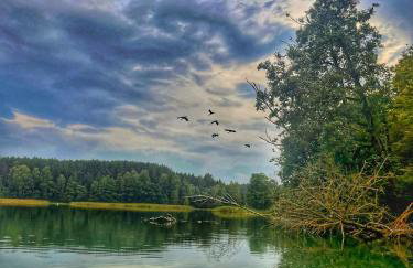 Poza czasem - domek letniskowy nad jeziorem - Foto 9