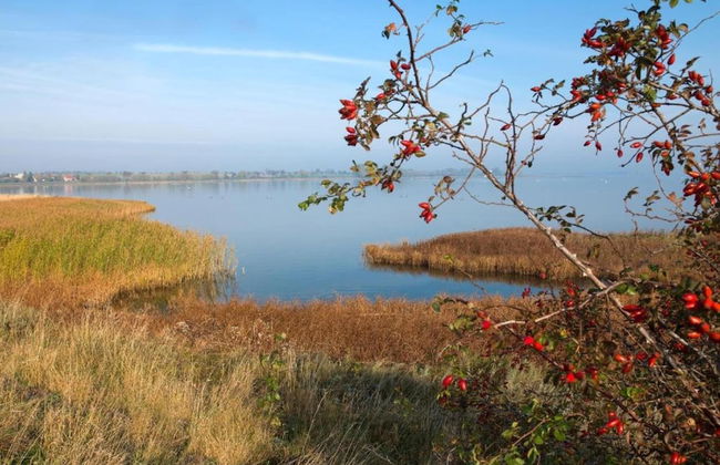 Insel- Bungalow auf Poel - Foto 24