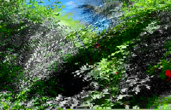 Fairy Mountain Retreat - Foto 57