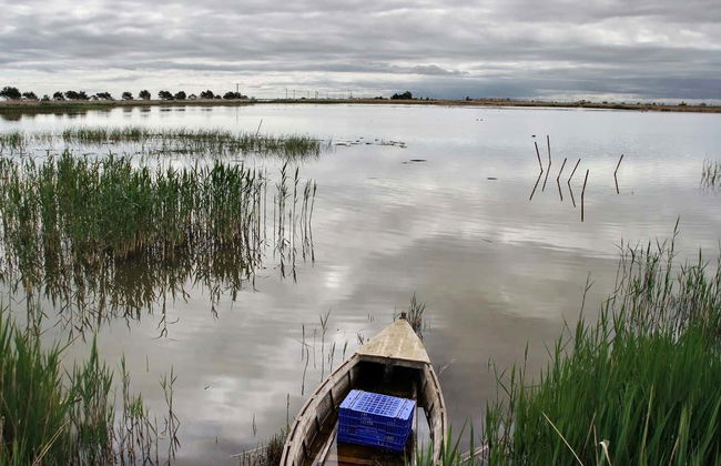 Ebro Delta Bird Watching Tour - Photo 3