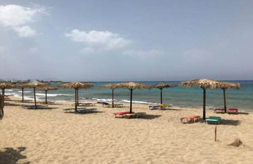 Grey House - Foto 83