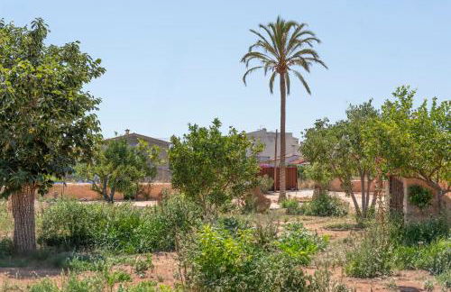 Hort de Ca'n Salvà - Foto 46