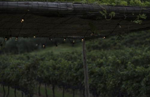 Residence La Vigna - Foto 19