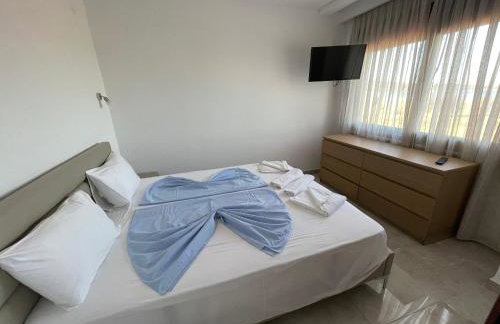 Theano Studios - Foto 55