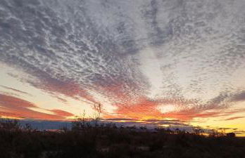 Front de plage - Foto 12