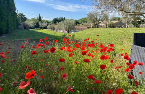 Mas Provençale entre Avignon et St Remy de Provence - Foto 58