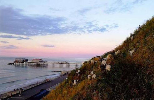 The Warren Chalet - Foto 20