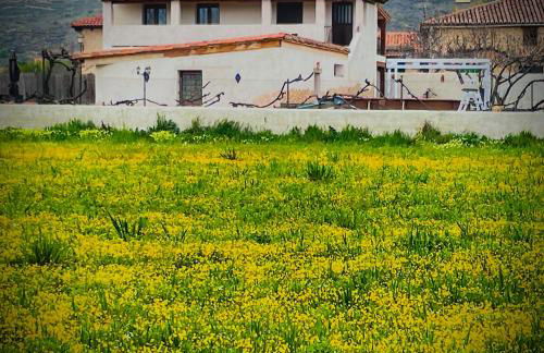 Los Diezmos - Foto 1