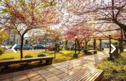 Flores da Montanha - Foto 61