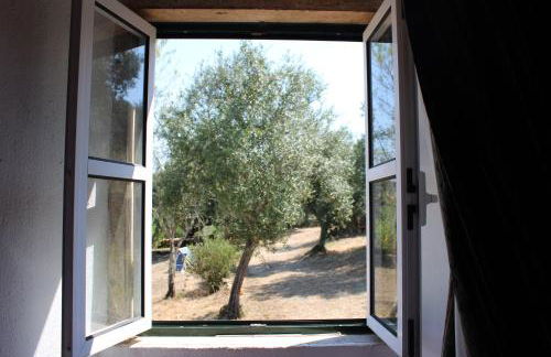 Casa dos Terranhos - Foto 10