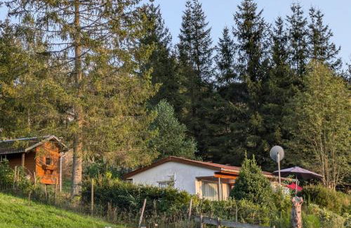 Ferienhaus Goldisthal - Photo 36
