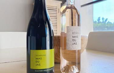 Mazet en pierres pour 6 personnes-3 chambres-piscine - Foto 4