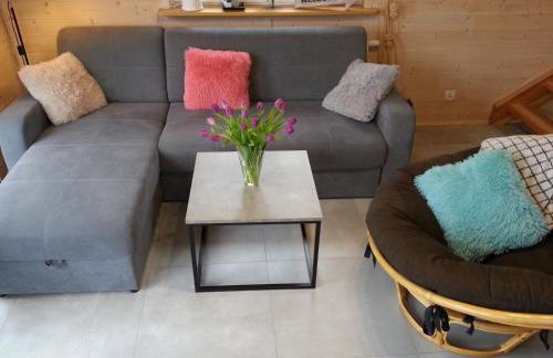 Biały Żagiel - Dom do wynajęcia Pluski - Foto 9