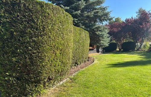 Dom wakacyjny Jaśki - Foto 41