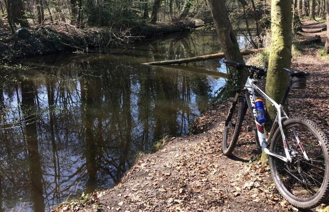 Getaway With Garden in Gelderland - Foto 28