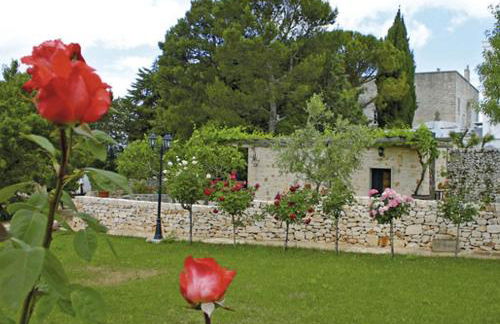 Agriturismo Antonelli Piangevino - Foto 39