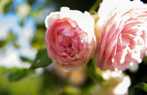 Boutique Bio Agriturismo Casale San Cristoforo - Photo 32