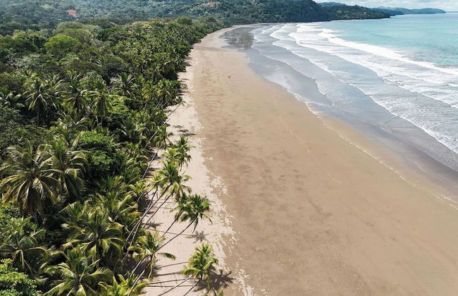 Cedrela Beach Villas - Foto 35