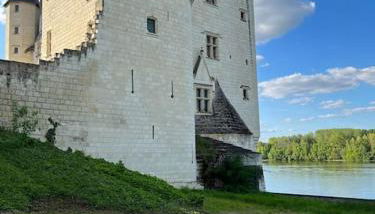 Le logis des diligences - Vue sur le château - Foto 4