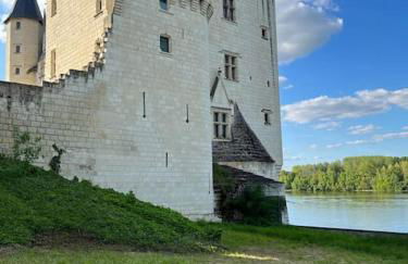 Le logis des diligences - Vue sur le château - Foto 4
