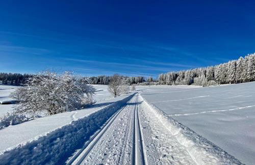 Gästehaus Steiert Fewo Kuhbergblick - Photo 35
