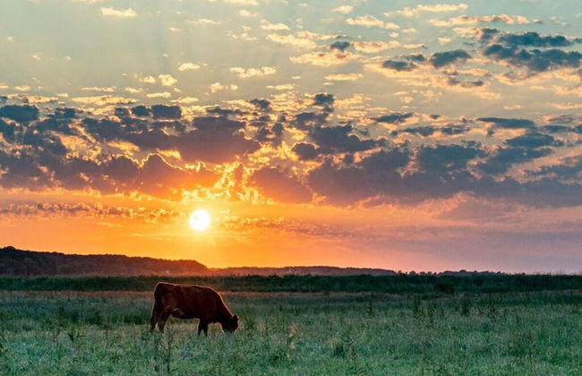 My Baltic Sea Place House by the sea 9 - Foto 2