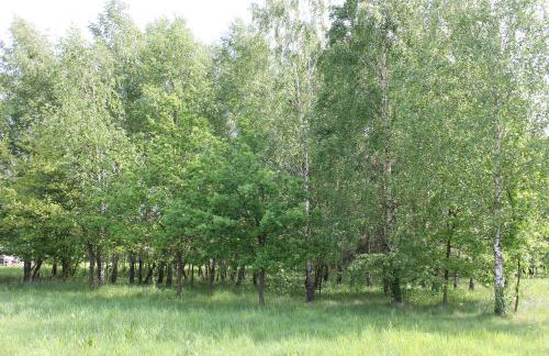 Chata Miła Agroturystyka - Foto 10