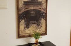 Flores da Montanha - Foto 29