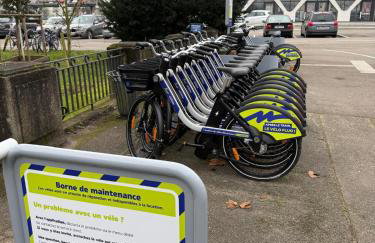 Nid d'émeraude - Votre escale cosy à Haguenau - Foto 29