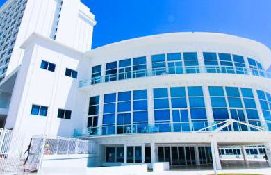 Castle 1133 Ocean view studio, Pool and Beach Access, FREE Parking, Tennis and more! - Foto 21