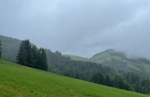 Titiseehnsucht - Gemütliche Wohnung mit Parkplatz - Foto 18