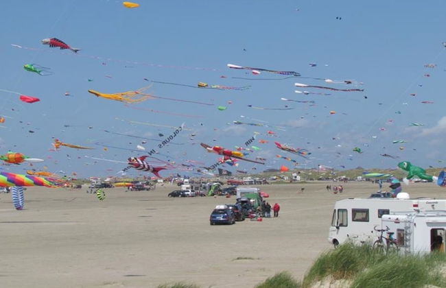 "Iliane" - 100m from the sea - Foto 5