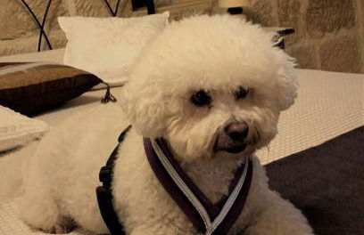 TORRE FUERTE Siglo XIII - Foto 49