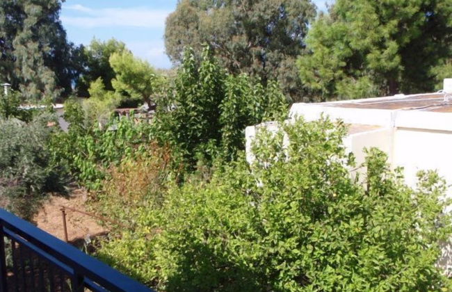 Niriis Hotel - Foto 55