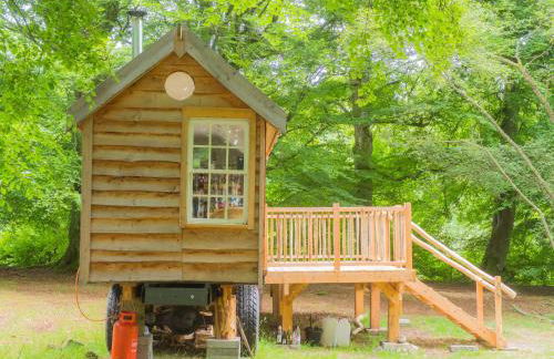 Bamff Ecotourism - Photo 25