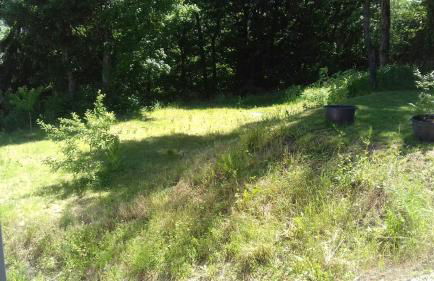 Ferienwohnung Ameis - Foto 11