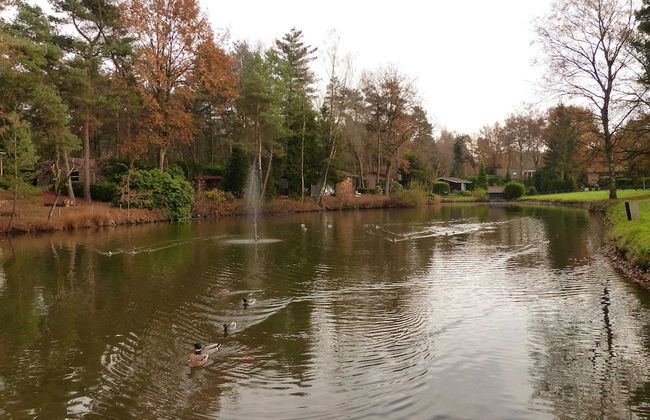 Chalet in Holiday Park With Private Terrace - Photo 35