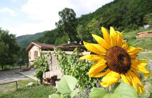 Agriturismo Cà Sonino - Photo 8