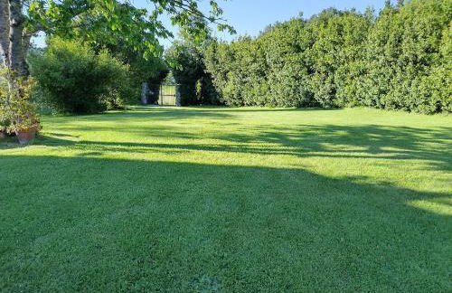 Podere Casone - Foto 8