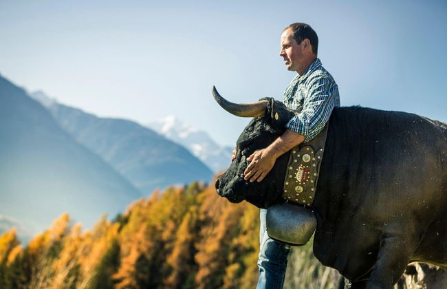 Laurin Parterre - Foto 16