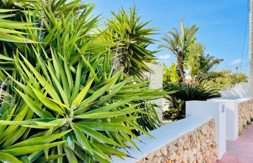 Villa Jordi - Cala en Porter - Foto 57