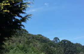 Recanto da Natureza- Chalé - Foto 47