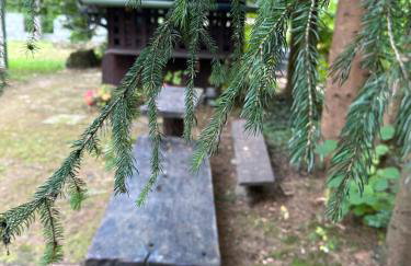 Różany Ogród - Foto 31