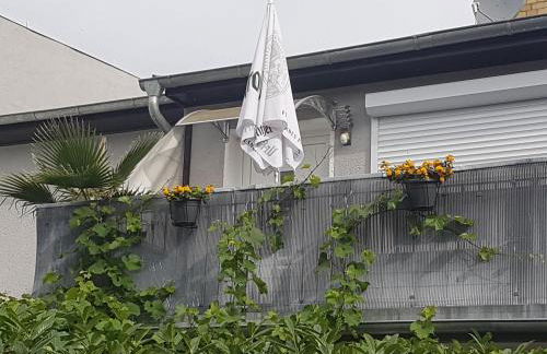 Pferdepension Jäger - Foto 27