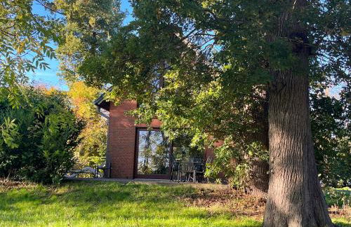 Ferienhaus Waldschlösschen - Foto 1
