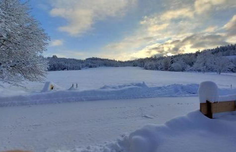 Ferienwohnung Andre - Foto 5