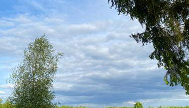 Ferienhaus am Seegrund - Foto 3